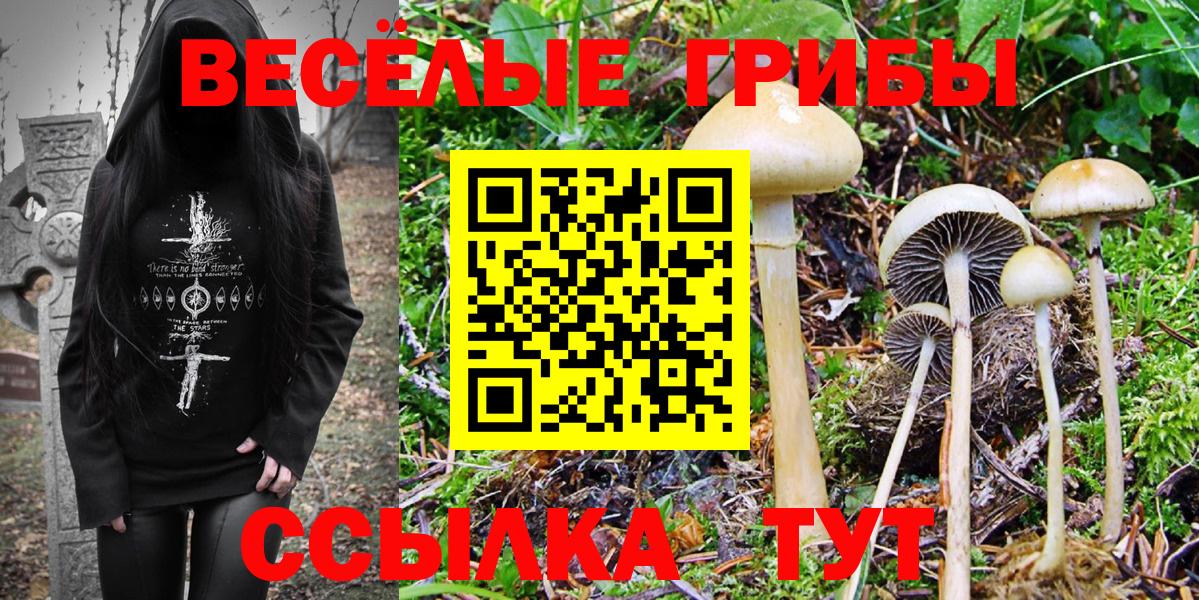 Псилоцибиновые грибы GOLDEN TEACHER Изобильный